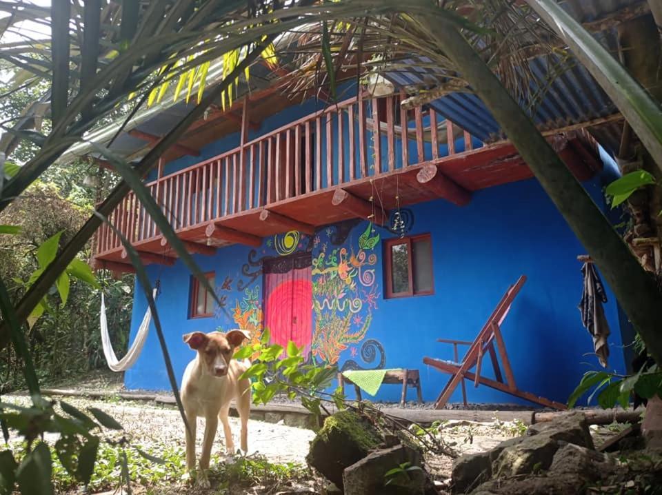 Eco Albergue Azul Cuispes エクステリア 写真